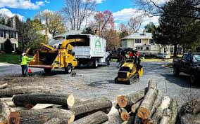 Best Tree and Shrub Care  in Riviera Beach, FL